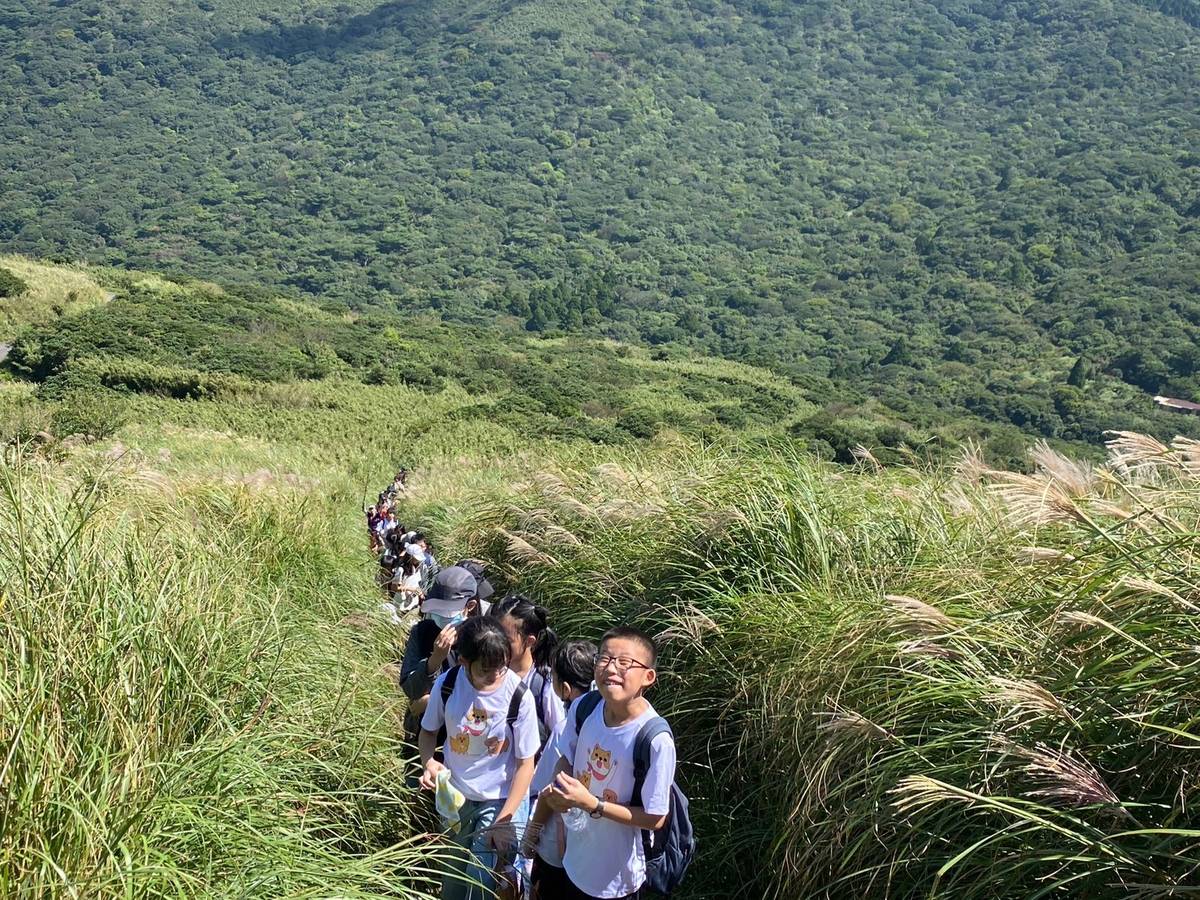 高年級挑戰大屯山步道險峻的階梯，隱身在竹林與芒草叢中