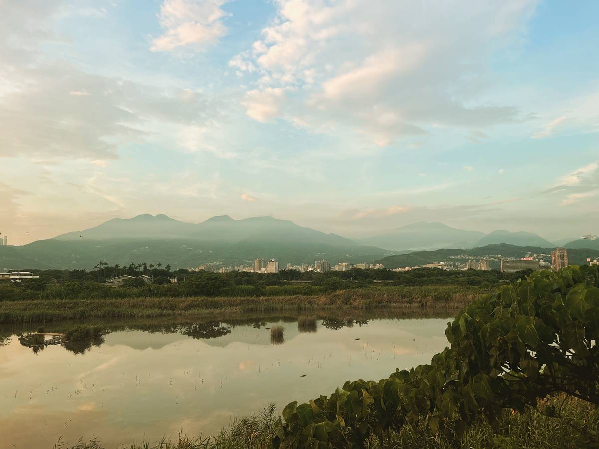 社子島濕地如城市中的秘境一隅