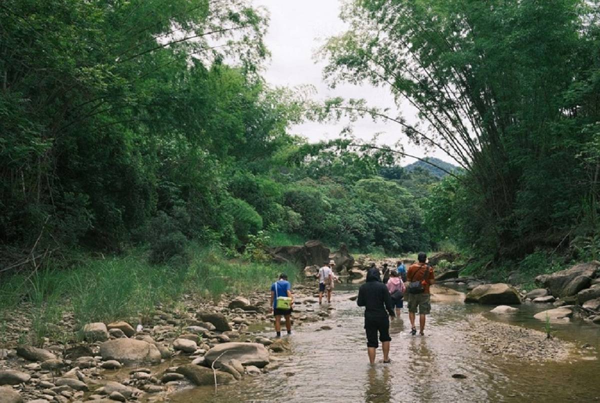 野蓮漂流工作室團隊辦理生態工作坊，讓青年親自走進地方生態，認識美濃河川生態