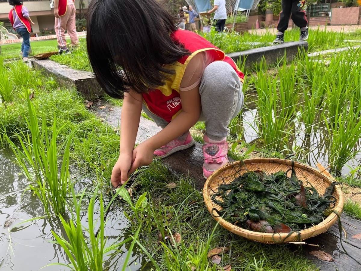 八德幼兒園以「八德小綠寶 玩想 綠基坔」方案主軸榮獲教學卓越獎金質獎