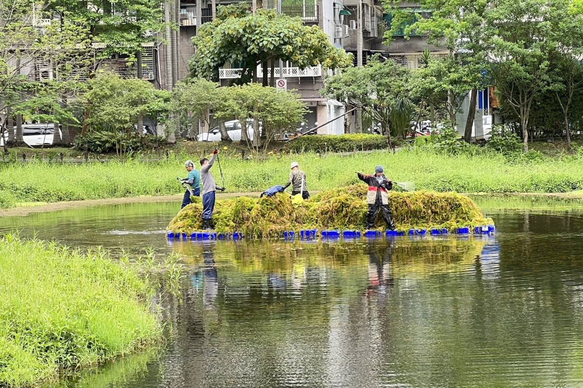 松山文創園區維護生態景觀池，定期清水草並再製成有機肥料，達到永續循環