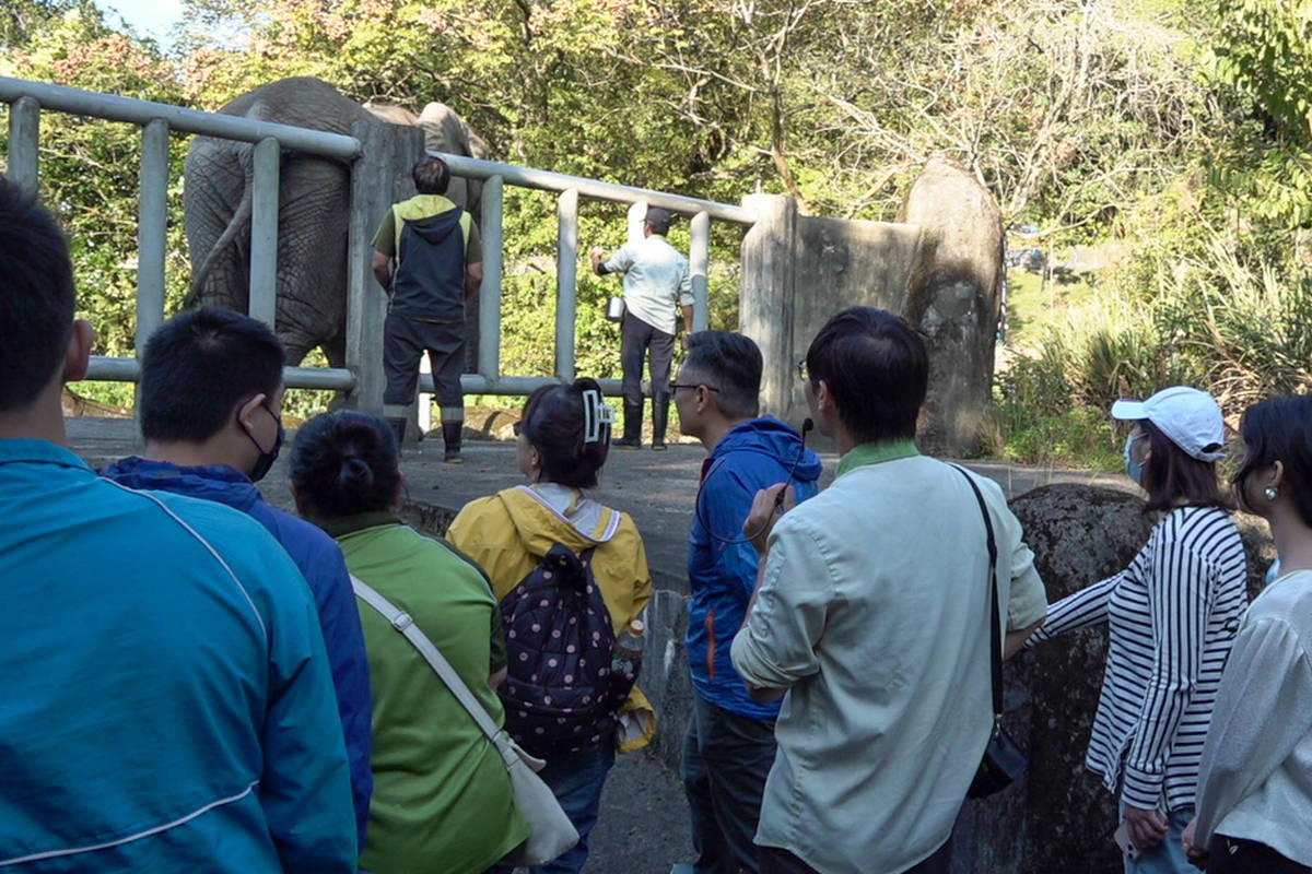 南華高中普通班與南青陣學生在動物園進行職涯探索
