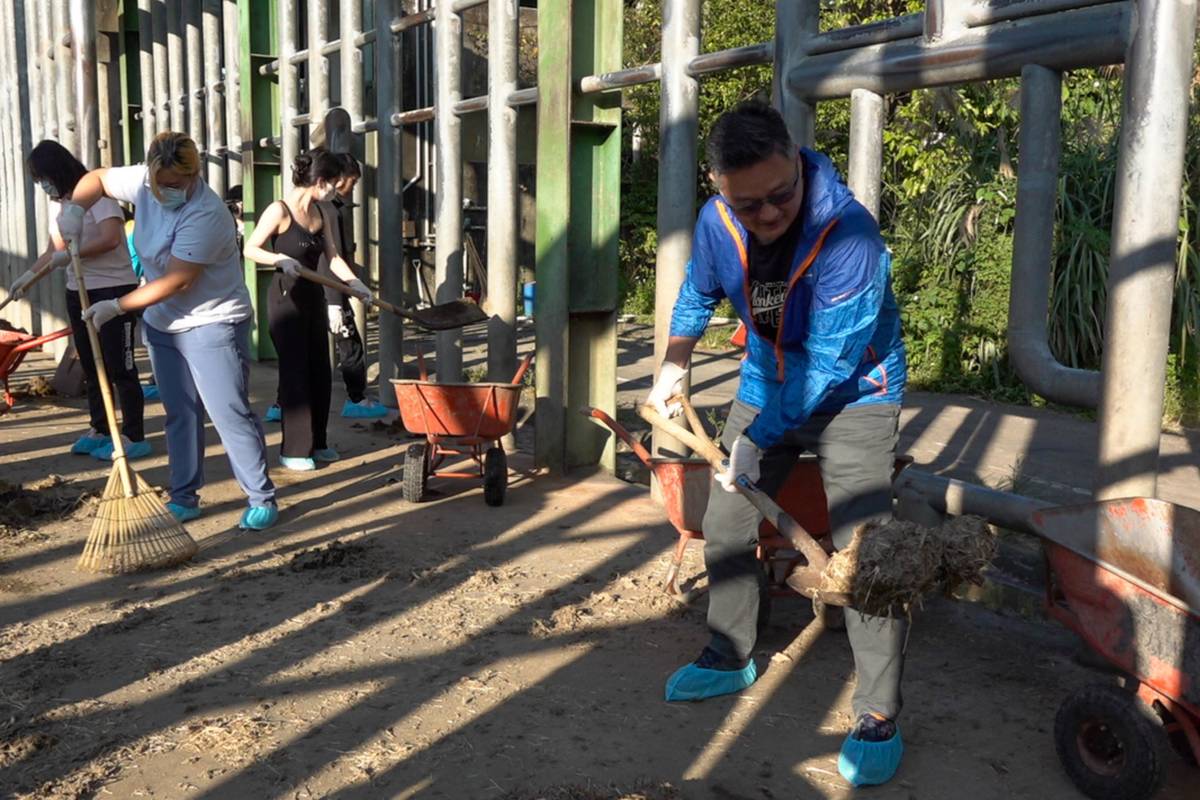 南華高中學生與南青陣學生一同清理非洲象糞便，體驗保育員工作日常

