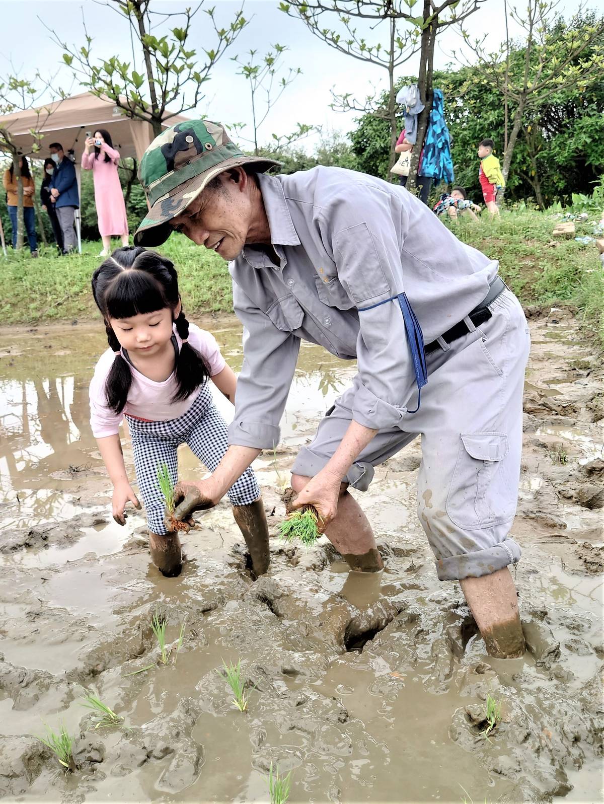 金美囡仔感受家鄉之美-春季親師生插秧季.