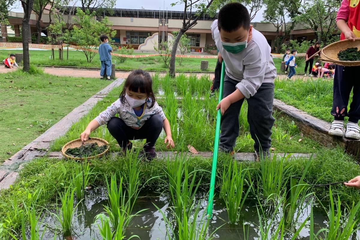 桃園市立八德幼兒園以「真心喜愛、綠享生活」為願景打造八德小綠寶