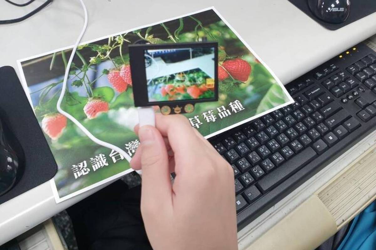 苗栗東興國小學童導入AR助遊客採果草莓