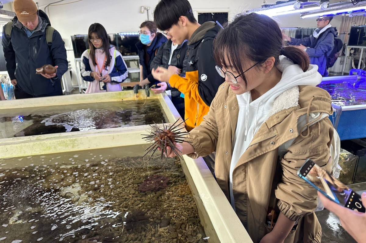 復育園區導覽活動深受民眾所喜愛的海洋生物零距離接觸體驗