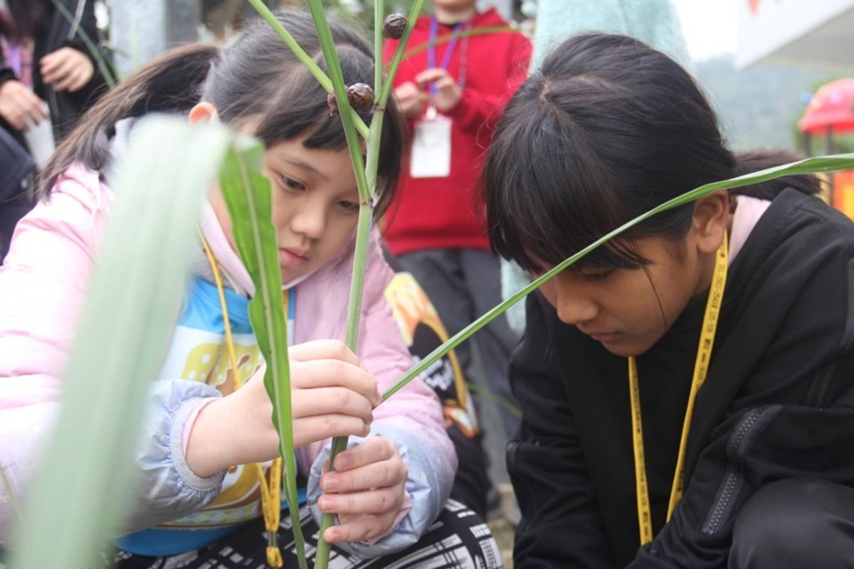 臺東縣武陵國小學童接待新北市中正國小學伴，以及崇光中學25位營隊服務學生，展開6天5夜的數位家族城鄉交流活動。

 