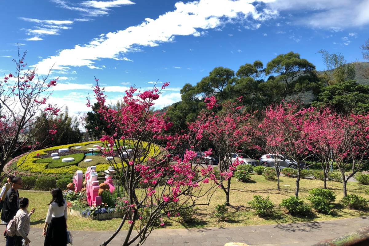 2024陽明山花季「花續陽明」登場