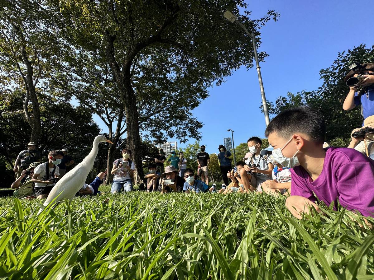 春日不妨帶著孩子到大安森林公園觀察自然生態(圖片提供:黃一峯)