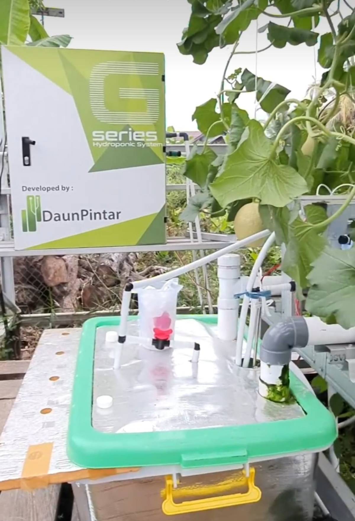 PT Daun Pintar Raya團隊為種植哈密瓜的客戶安裝產品。(臺科大提供)