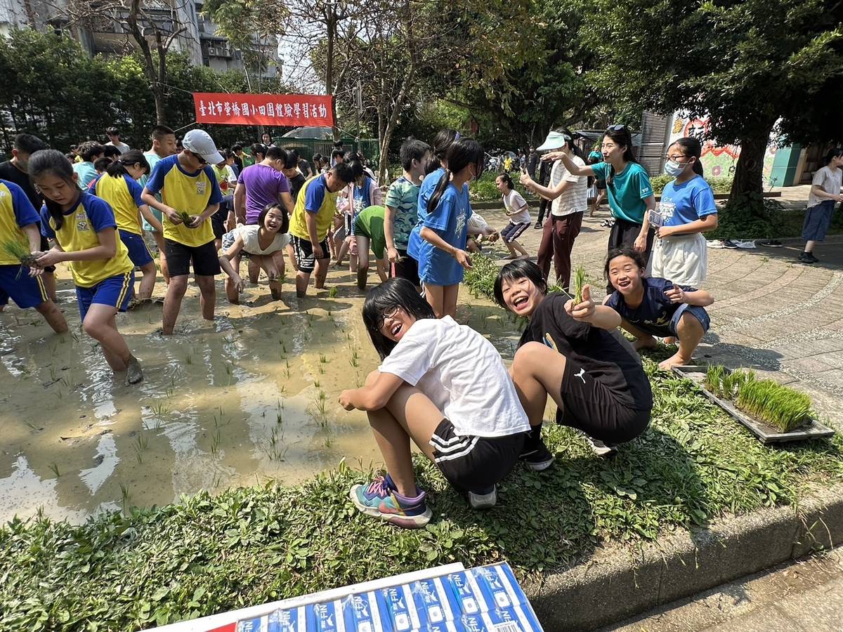 螢橋國小學生體驗農民朋友「春耕、夏耘、秋收、冬藏」粒粒皆辛苦的歷程