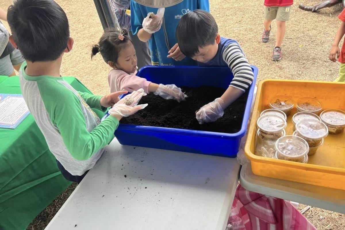 從小熱愛甲蟲的林紀安至今已飼養出上千隻各類甲蟲，為與更多人分享甲蟲之美，去年創立工作室，並經常受邀參與環境教育推廣活動，帶著小朋友探索昆蟲的奧妙，親近大自然。