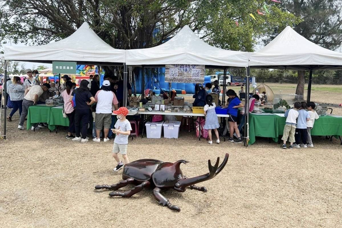 從小熱愛甲蟲的林紀安至今已飼養出上千隻各類甲蟲，為與更多人分享甲蟲之美，去年創立工作室，並經常受邀參與環境教育推廣活動，帶著小朋友探索昆蟲的奧妙，親近大自然。