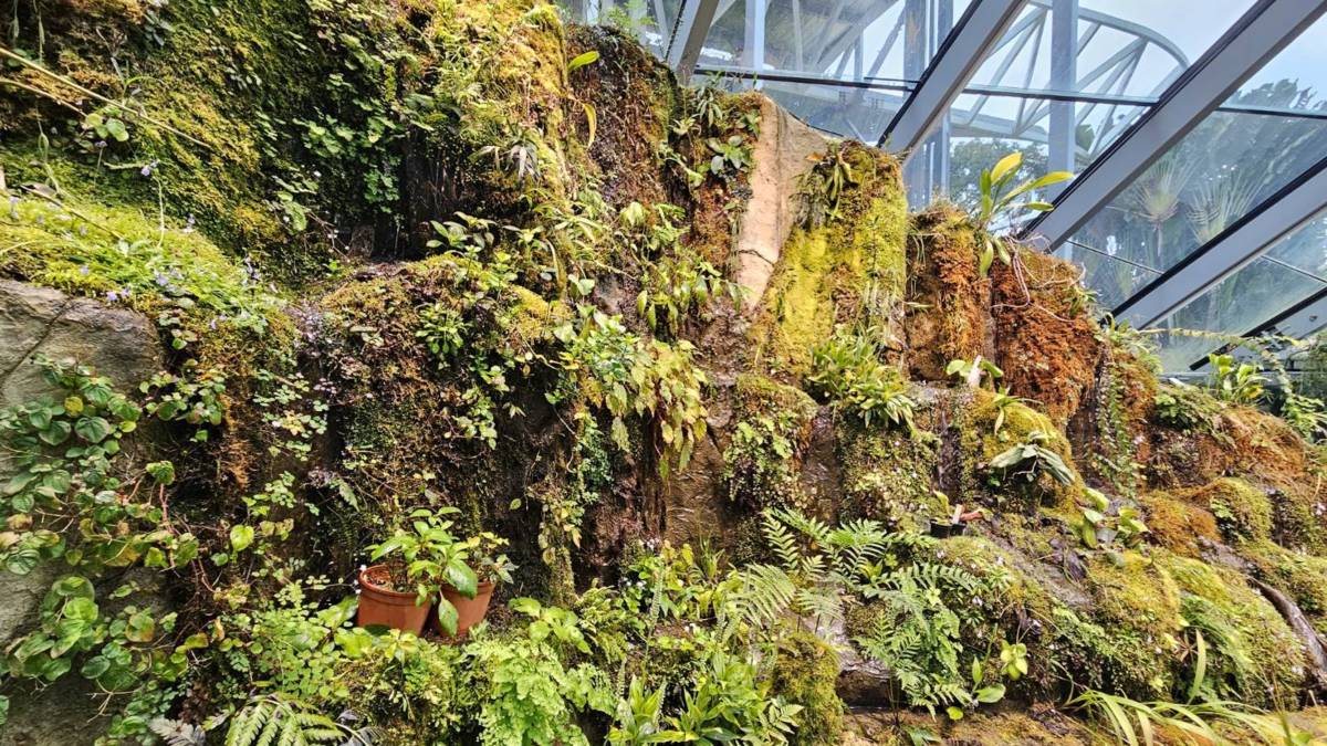 植物園-溫室內