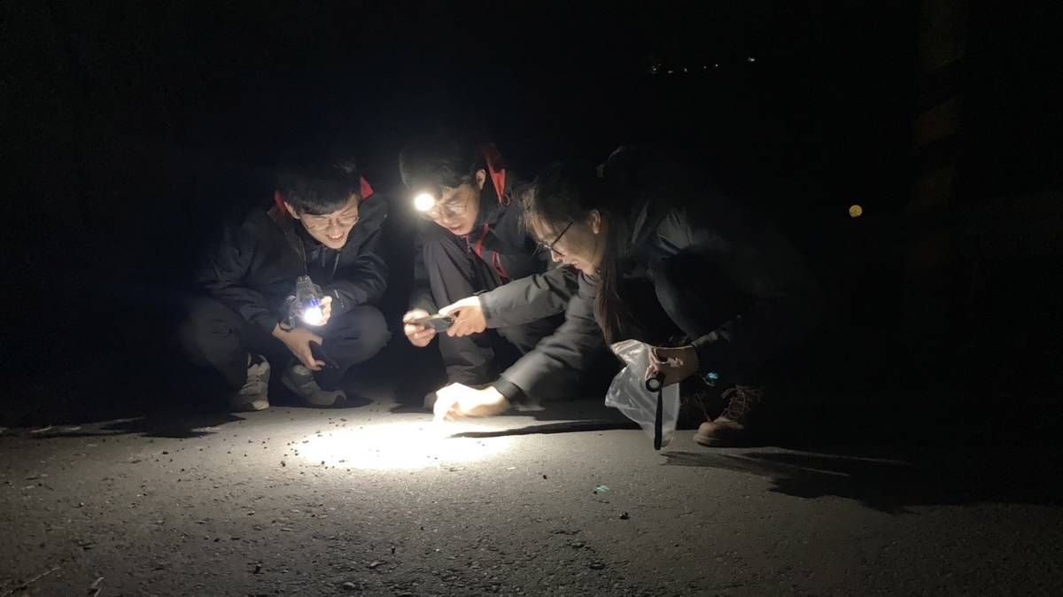 八仙山自然教育中心環境教師為「夜間自然探索」活動預備.八仙山自然教育中心提供