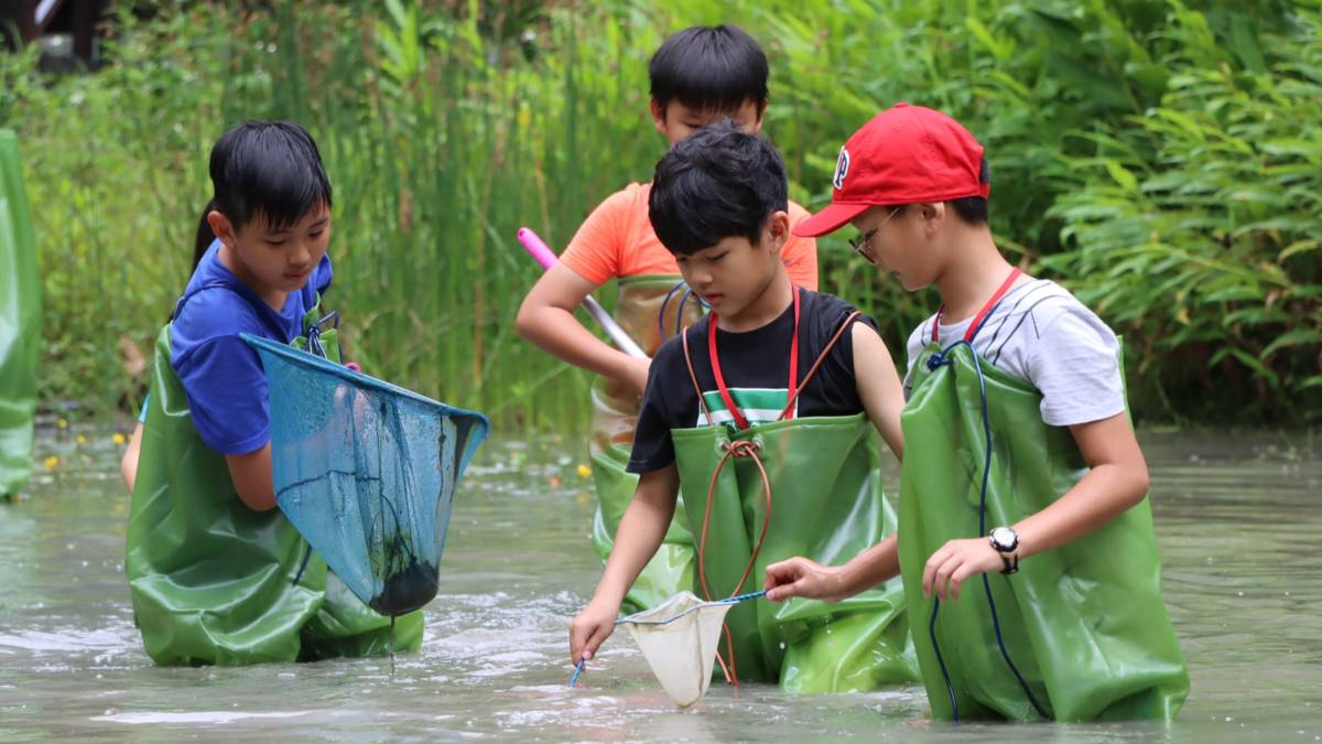 遠遠看水生昆蟲不過癮，「野獸與牠們的產地－八仙山動物生態探索營」穿上青蛙裝下水去！