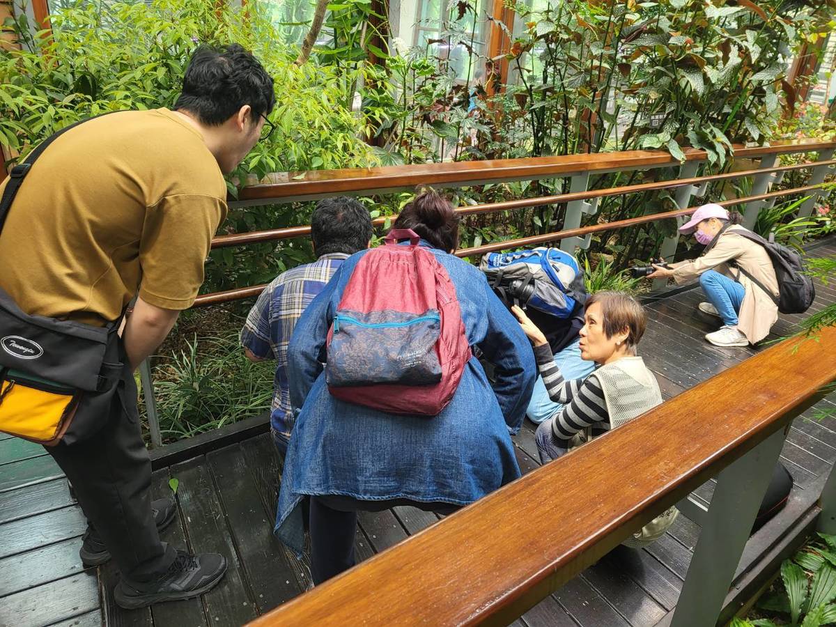 臺北典藏植物園邀請大小朋友探訪臺灣原生種植物及外來特色植物
