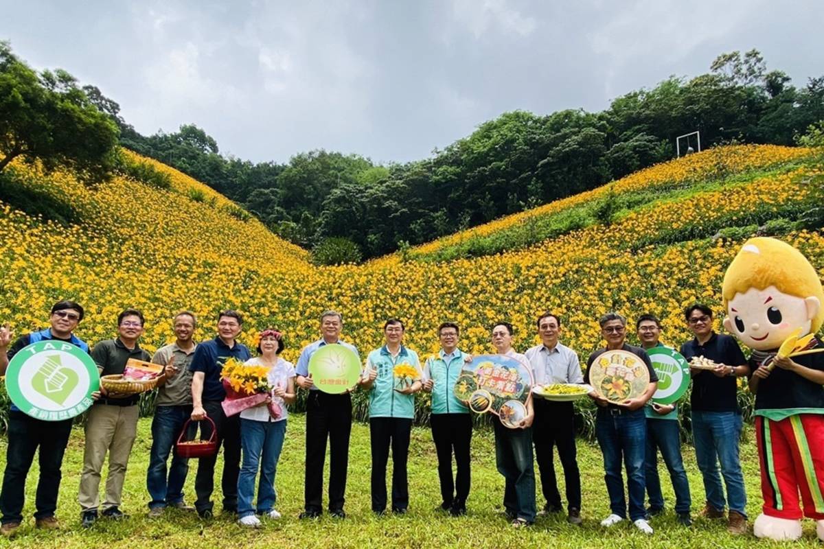 臺東縣卑南鄉天山農場金針花綻放，農糧署東區分署輔導臺東縣農會辦理食農教育推廣活動，行銷平地金針與產銷履歷農糧產品。