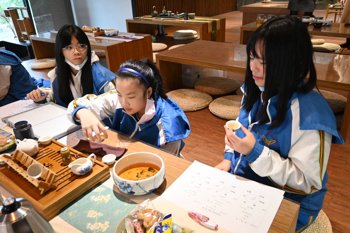 參與石碇高中茶課程學生化身茶人進行泡茶體驗