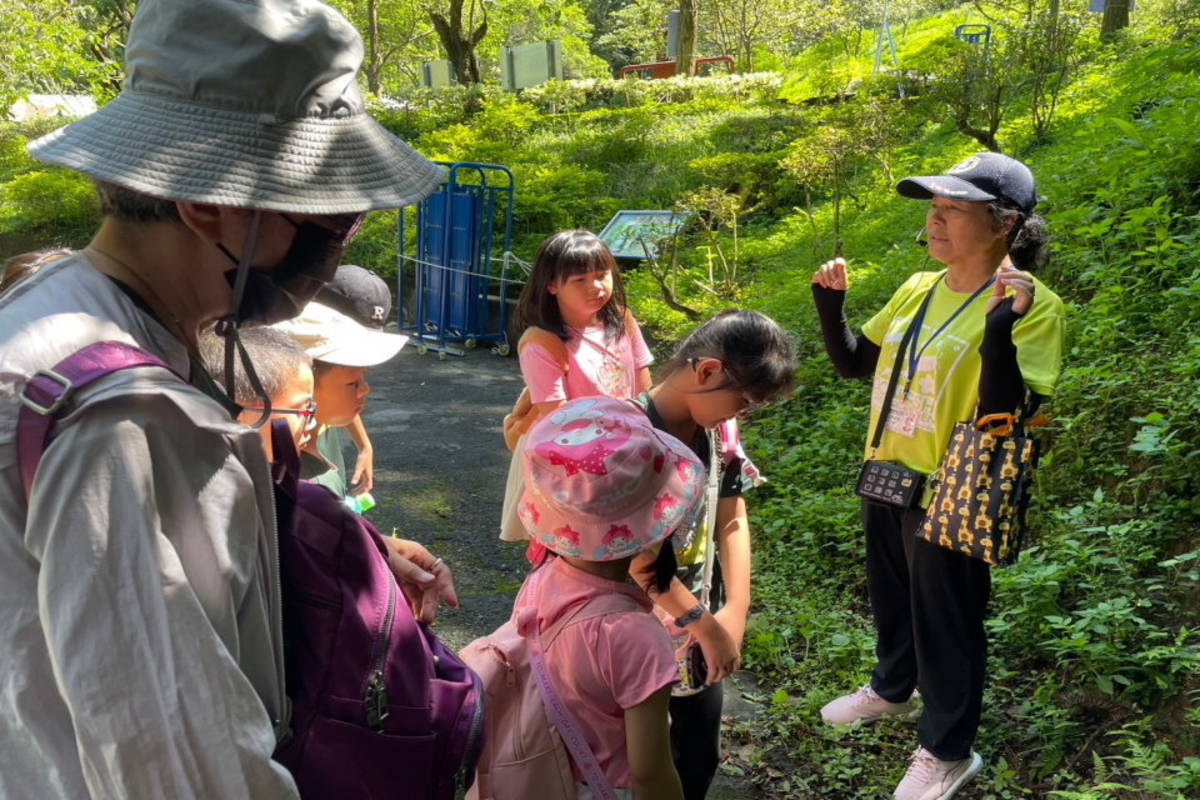 導覽老師介紹山芋和姑婆芋的不同