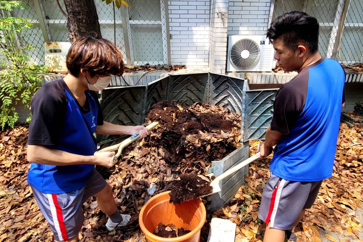 校園奧地利落葉保溫堆肥箱開箱取出落葉有機肥