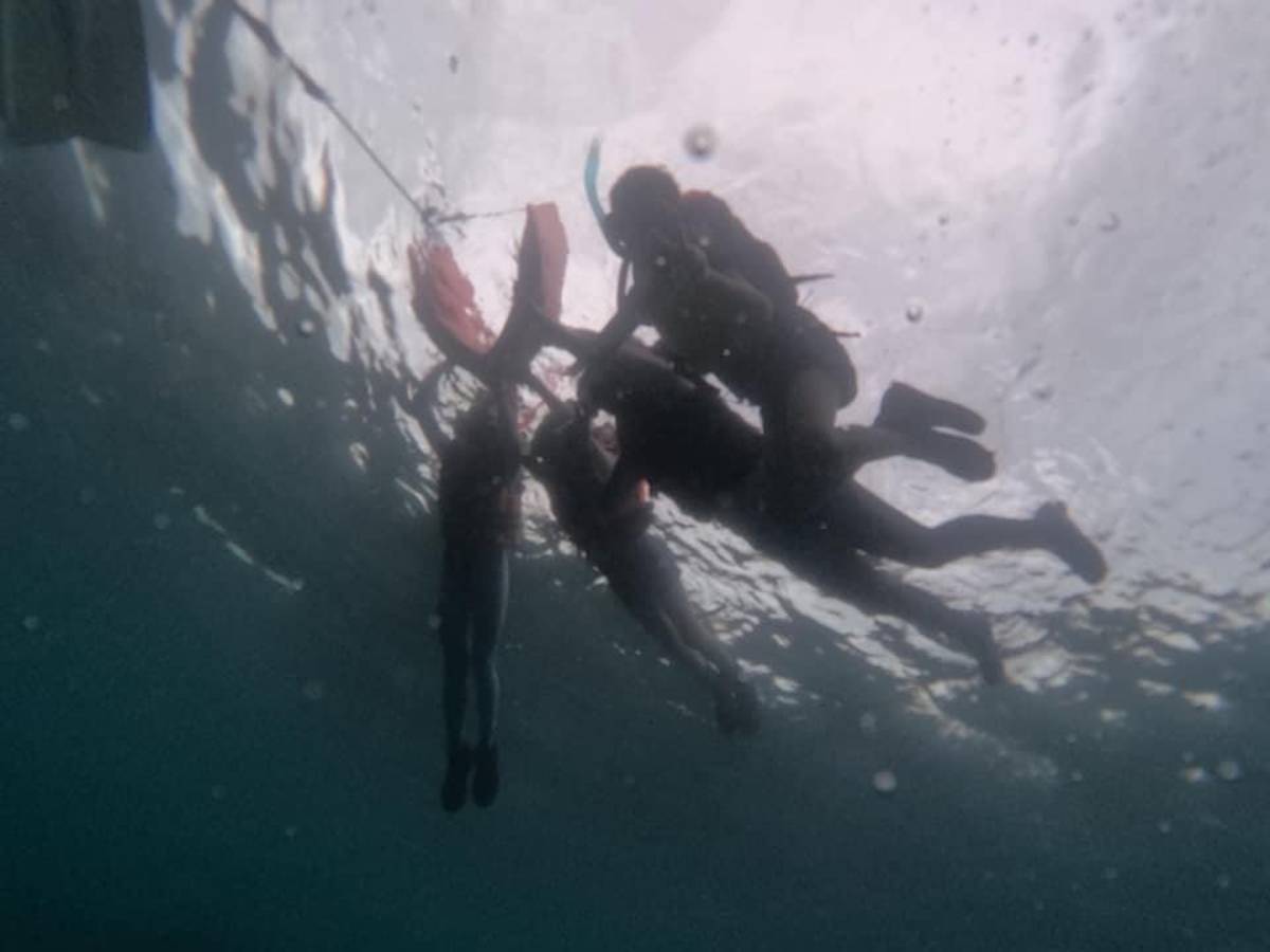 學生進行浮潛，觀察水下生物