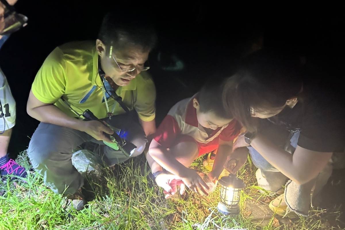 林業保育署臺東分署在暑期推出夜探知本活動，串聯生態體驗、森林療癒、夜間星象等主題，邀民眾參與難忘的夜間自然生態之旅。