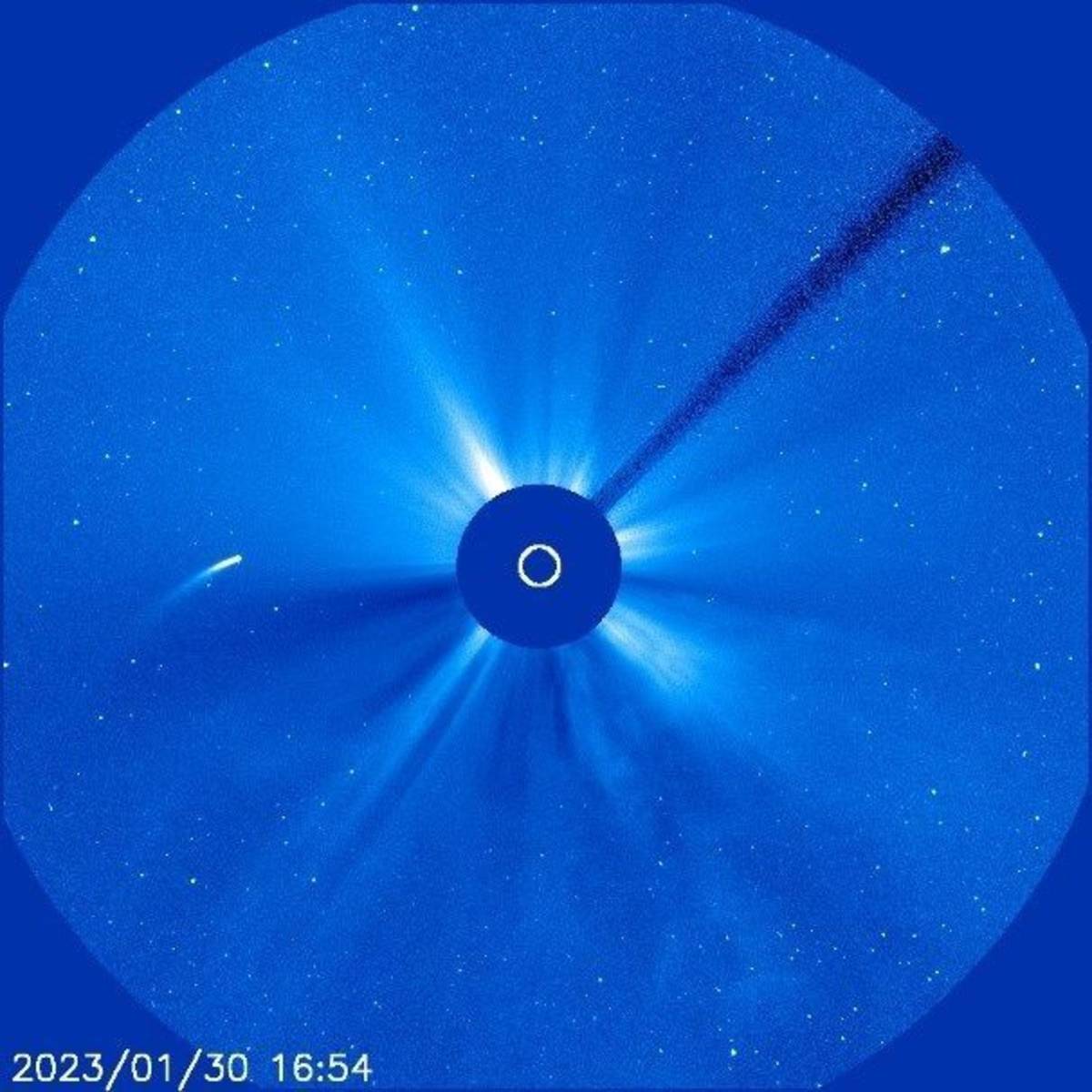 梅克賀茲一號彗星在2023年1月通過近日點時曾展現壯觀的彗尾(圖片提供:天文館)