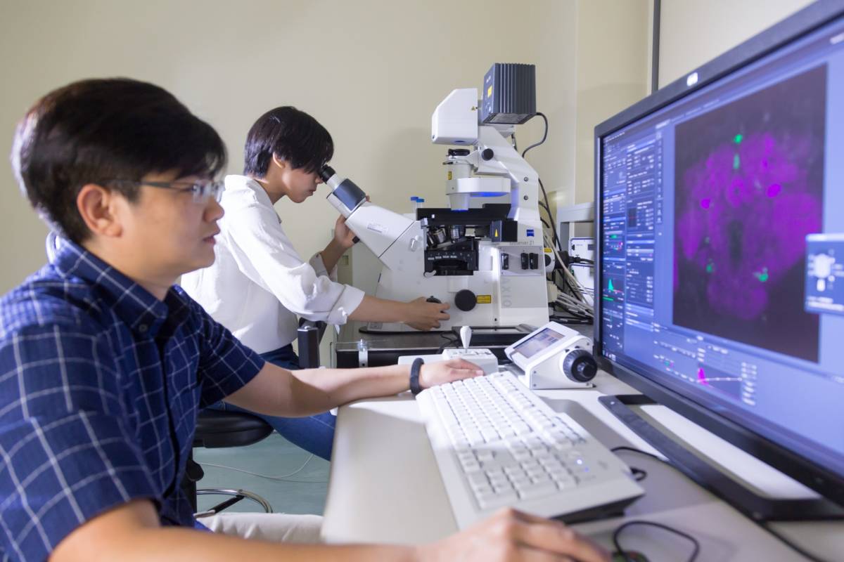 暨大開設AI賦能資訊科技課程