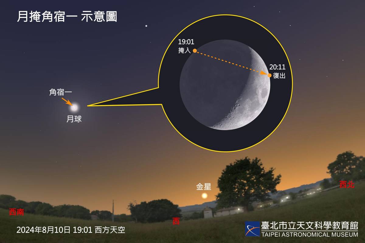 難得一見的「月掩角宿一」將在8/10登場