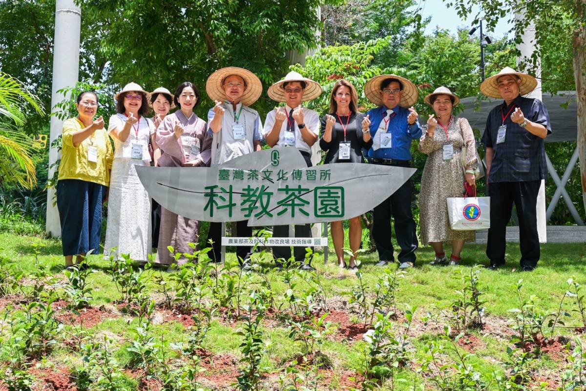 臺灣茶文化傳習所科教茶園。