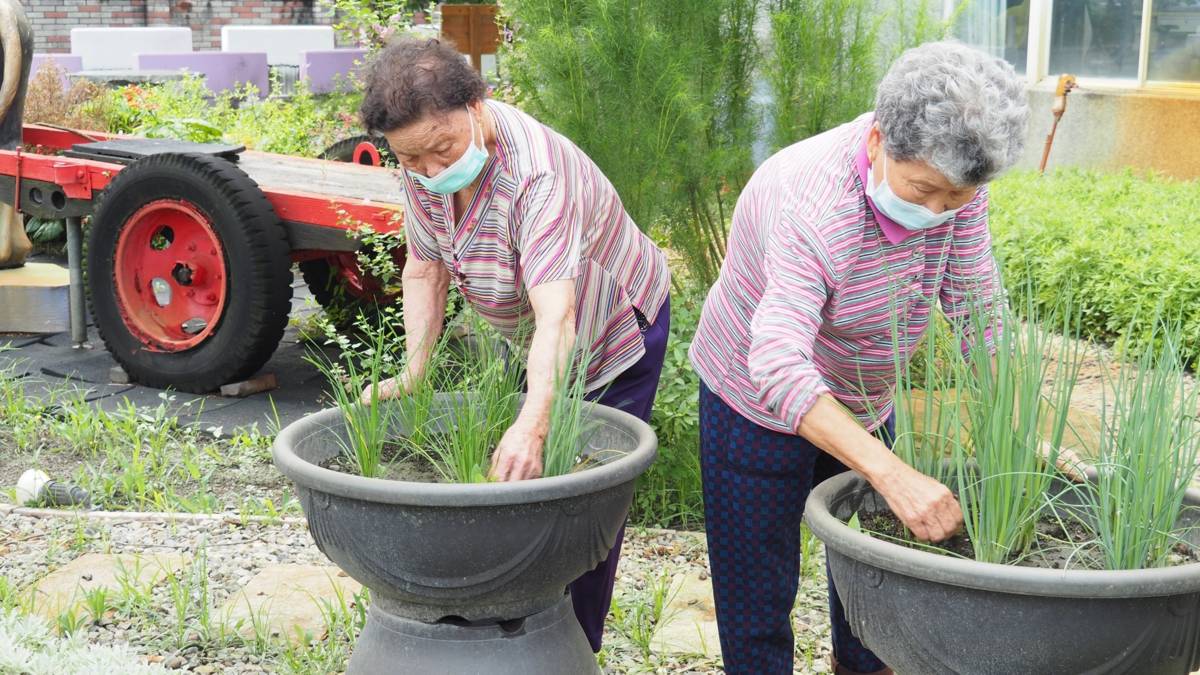 簡易的抬高式花台，長輩能親近與操作園藝療育活動