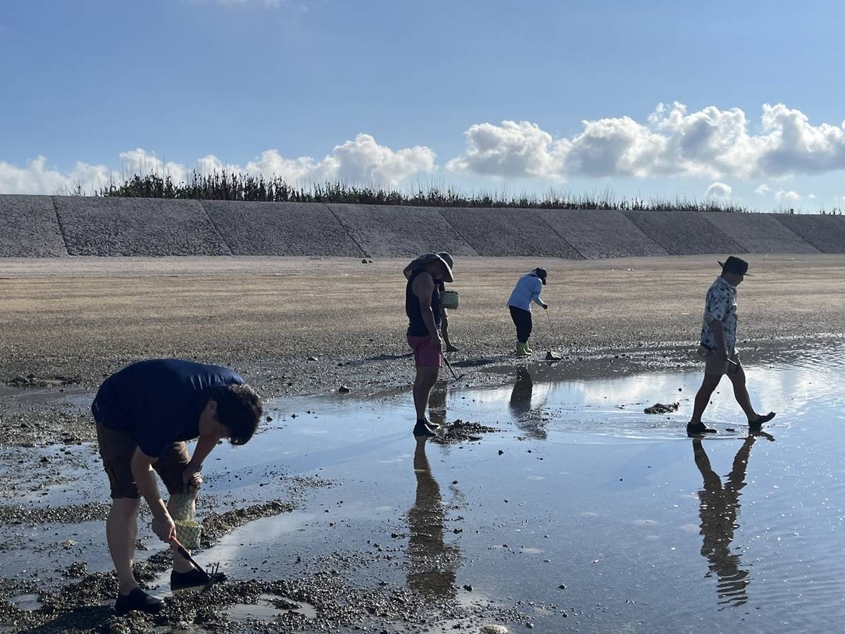 澎湖湖西青年壯遊點潮間帶生態觀察 (教育部提供)