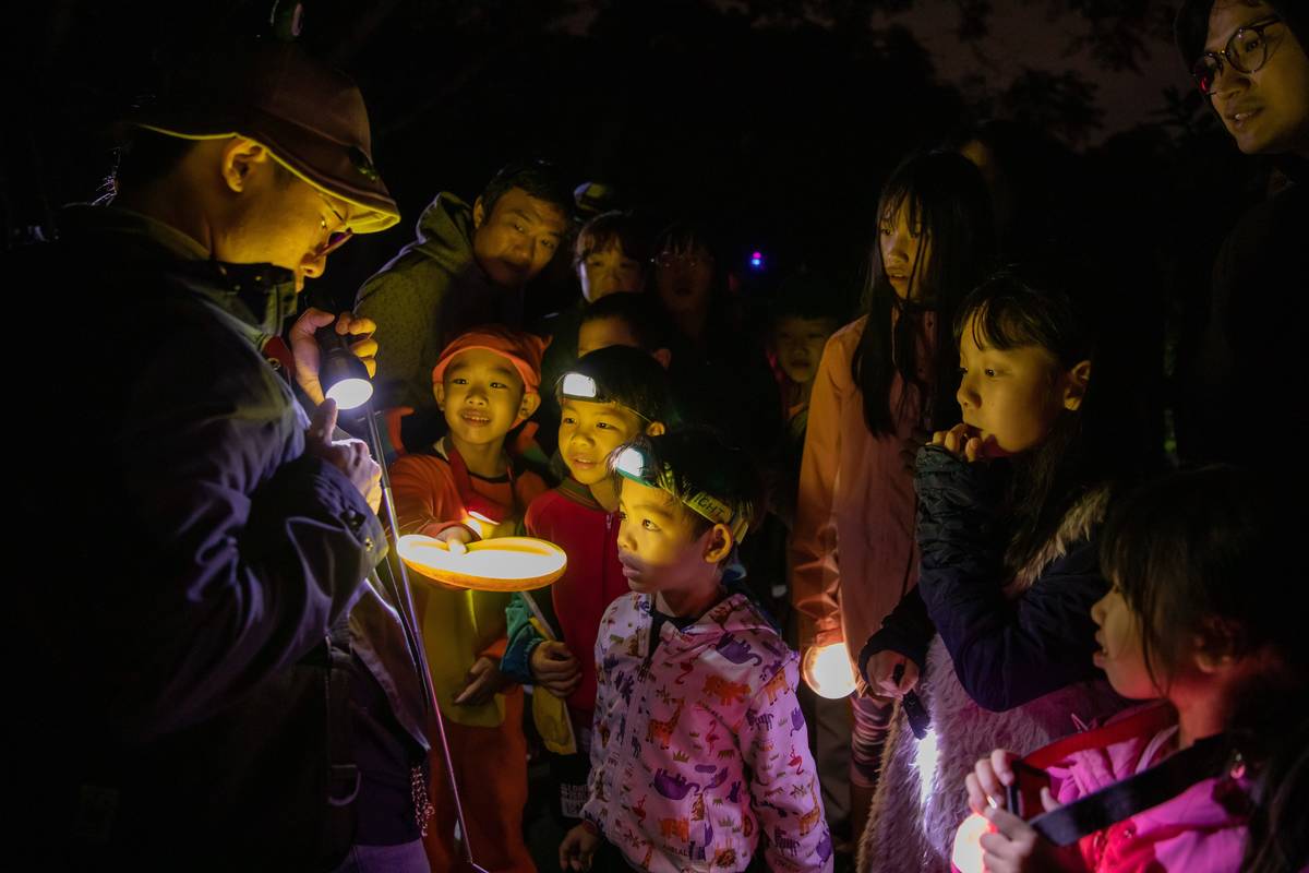 「夜觀貴子坑」探訪生物有趣的夜生活