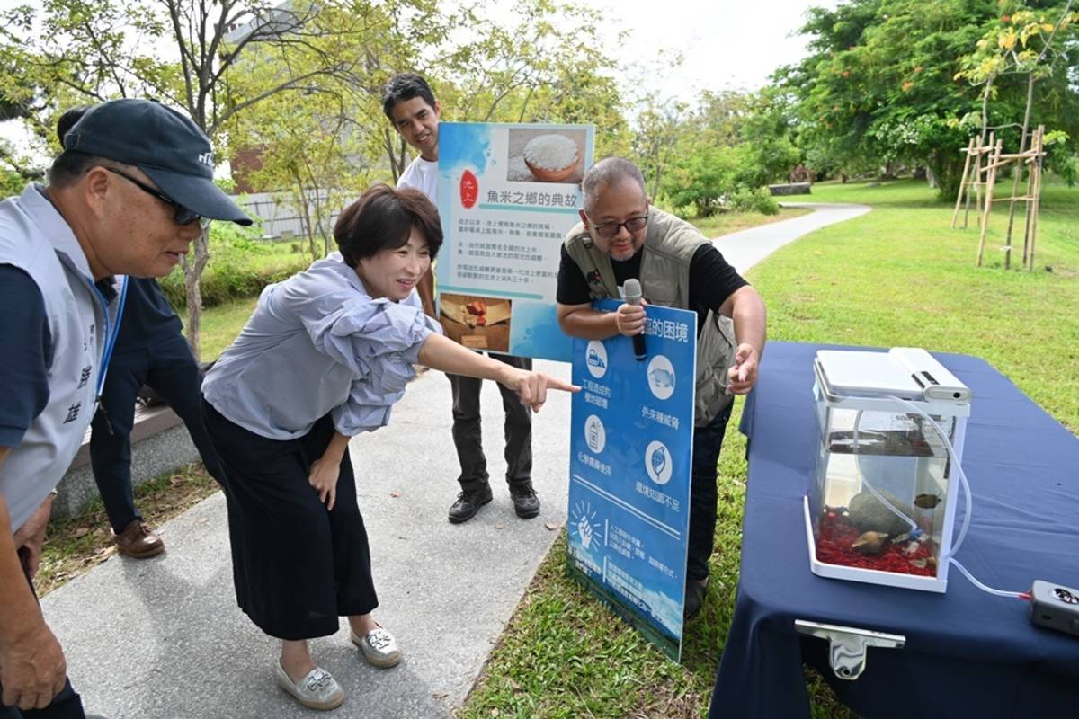 臺東森林公園景觀工程顧生態環境維護，今(16)日於蓮花生態池放流上百隻原生種魚類及螺貝類。