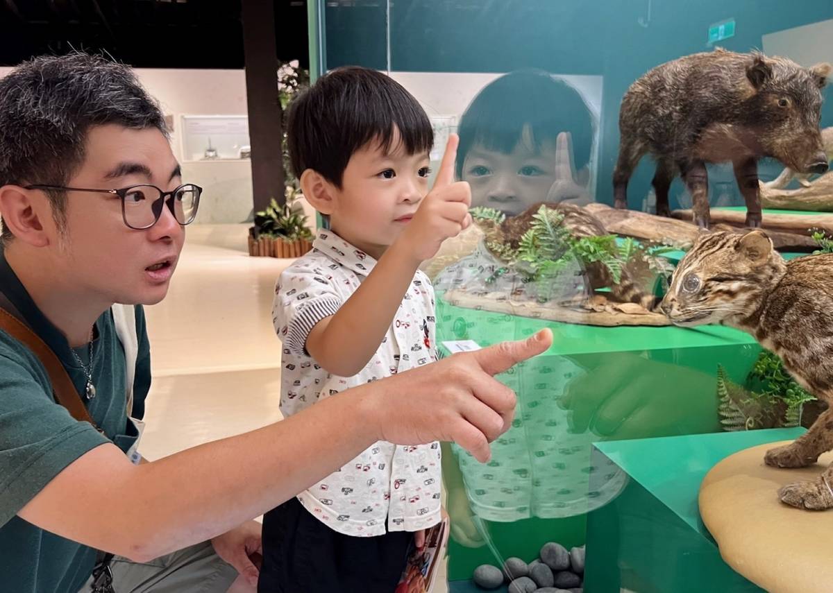 圖2「臺灣史前動物特展」讓觀眾近距離觀察臺灣原生保育動物的獨特特徵，激發保護意識。