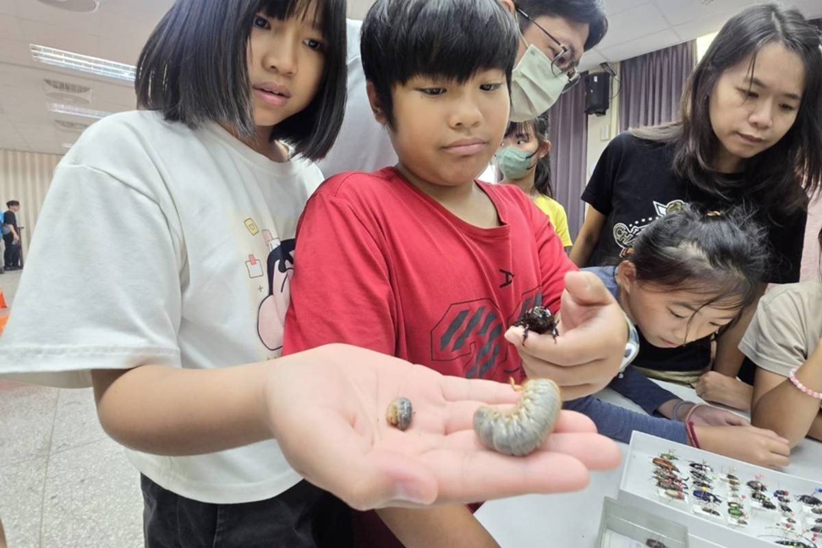 臺大實驗林管理處副研究員李春霖前往永安國小，展示各式甲蟲標本及幼蟲活體，帶小朋友認識甲蟲生態。