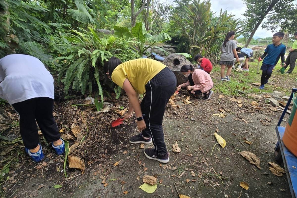 永安國小學生在校園木柴堆置區內翻找雞母蟲。