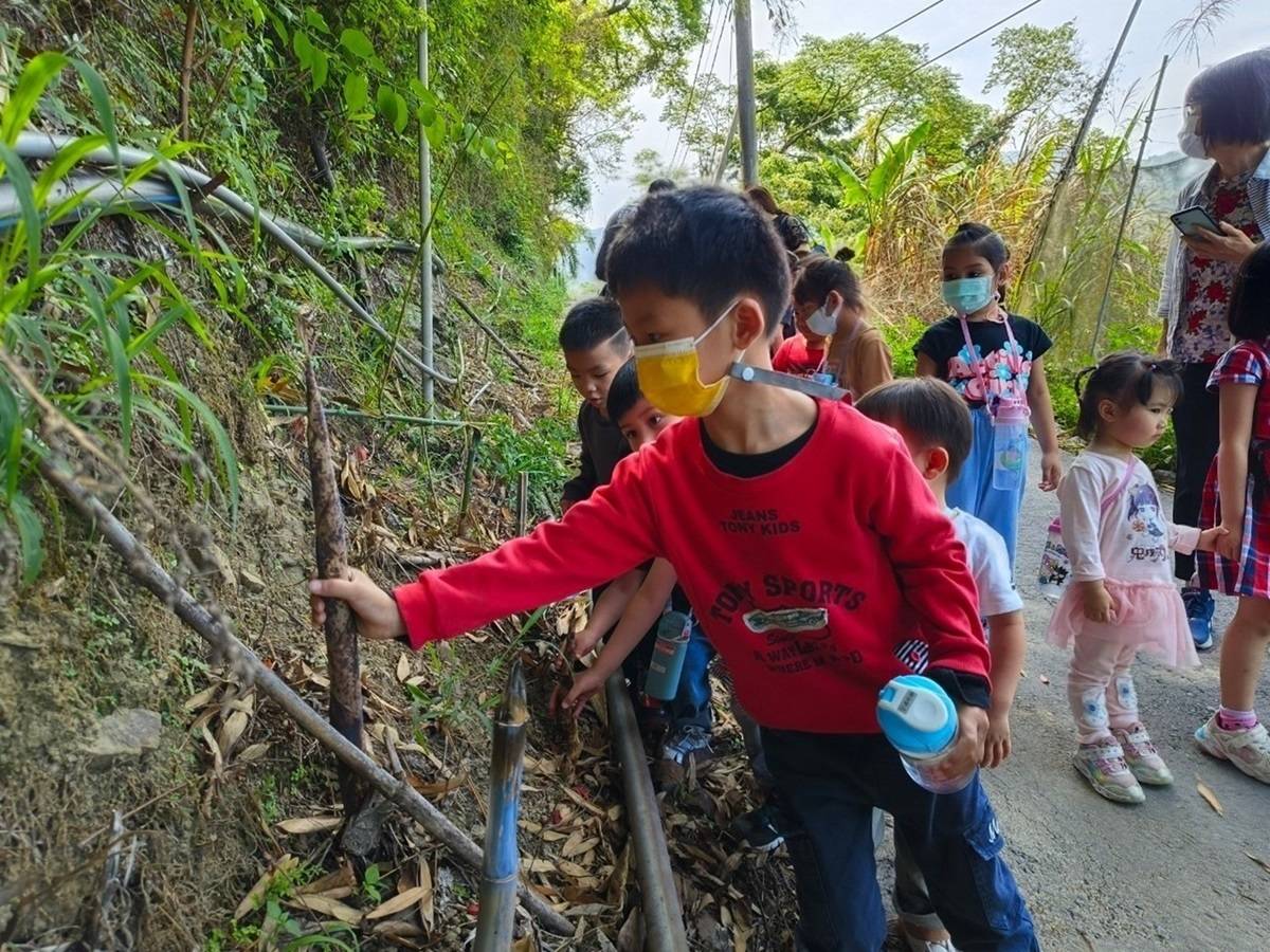 臺中和平區公所雙崎分班幼童認識桂竹筍與麻竹外觀的不同 (教育部提供)