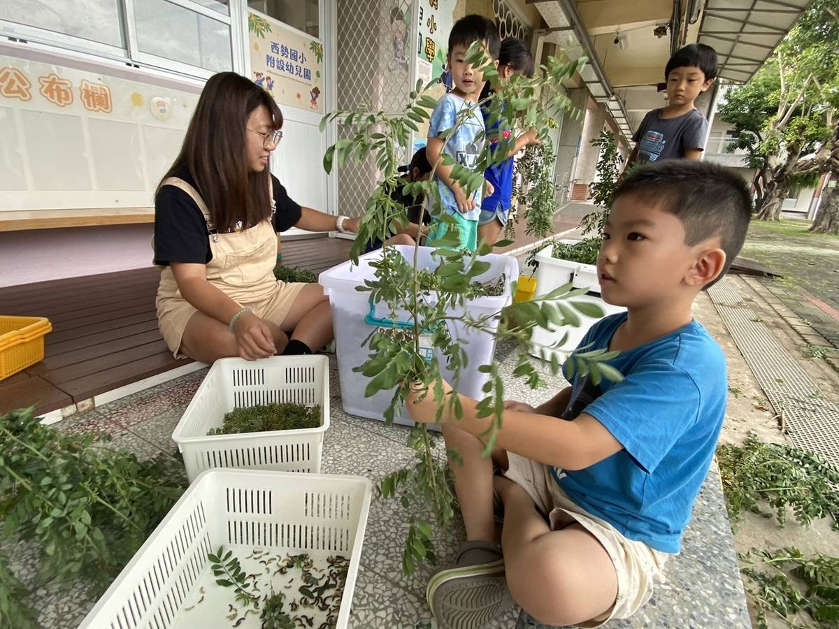 採集可食香草，讓傳統粄食上色 (教育部提供)