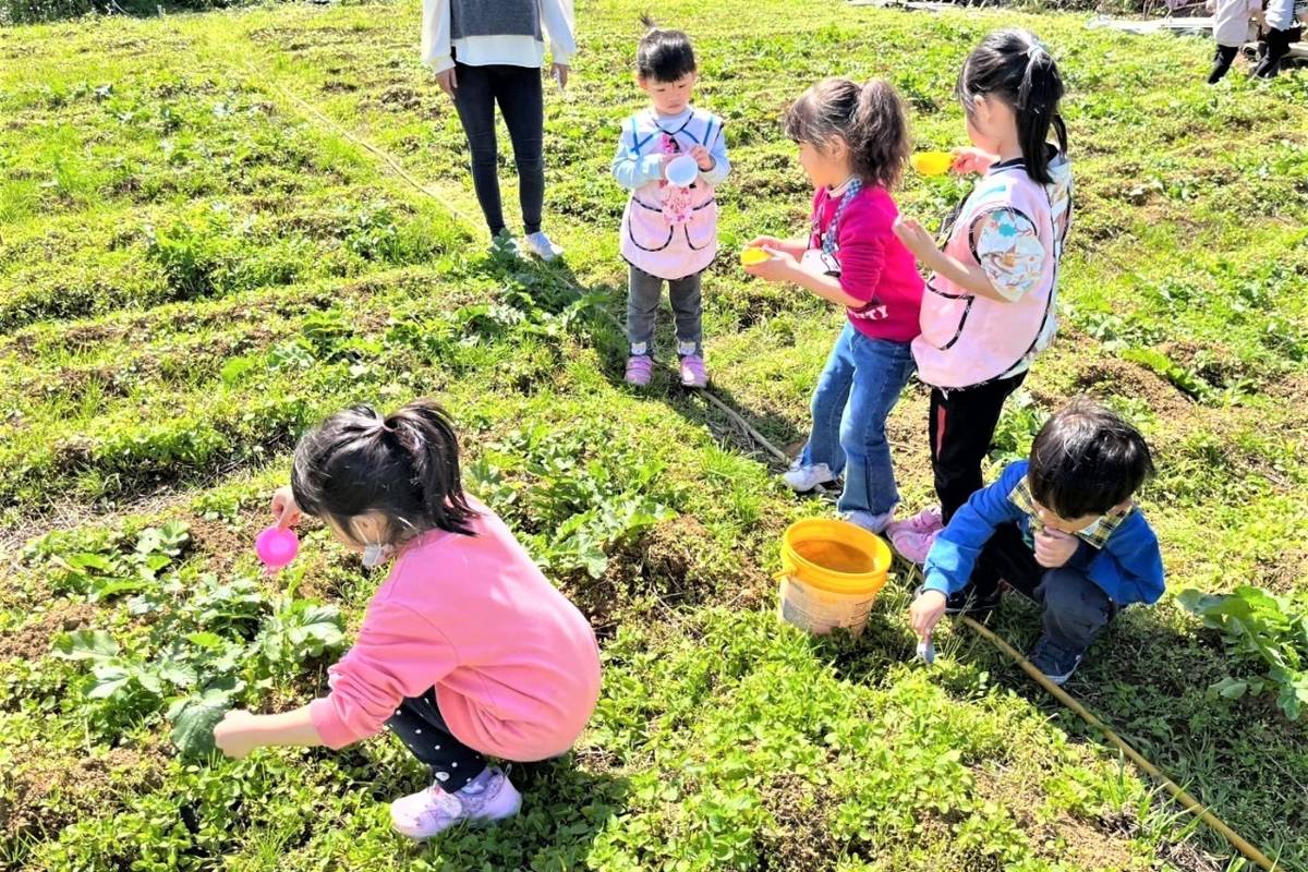 三芝幼兒園於植樹節辦理護眼踏青活動