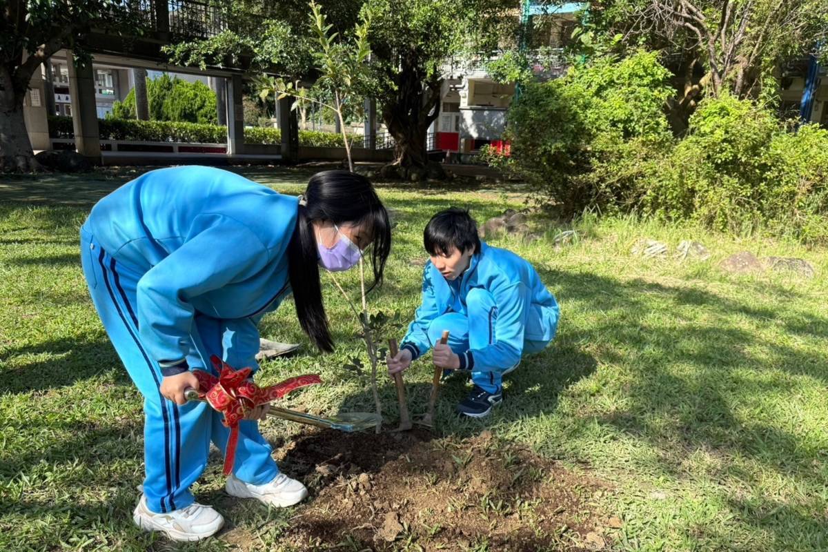 北市教育局鼓勵學校植樹，114年提高補助金額至每校最高3萬元