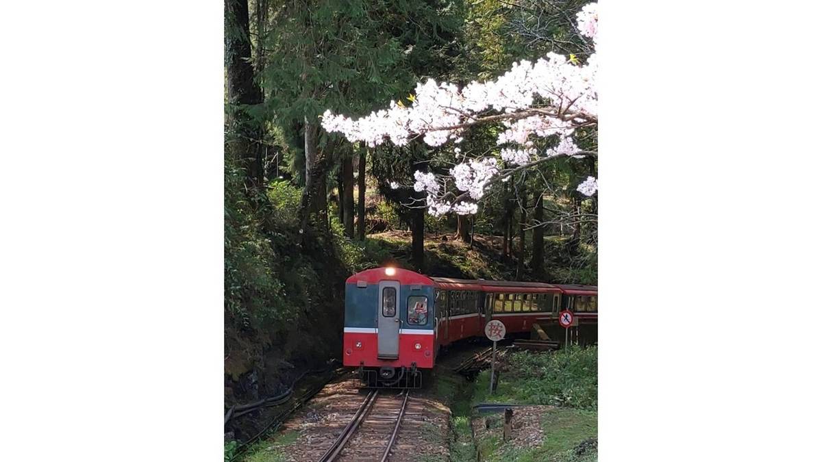 阿里山火車