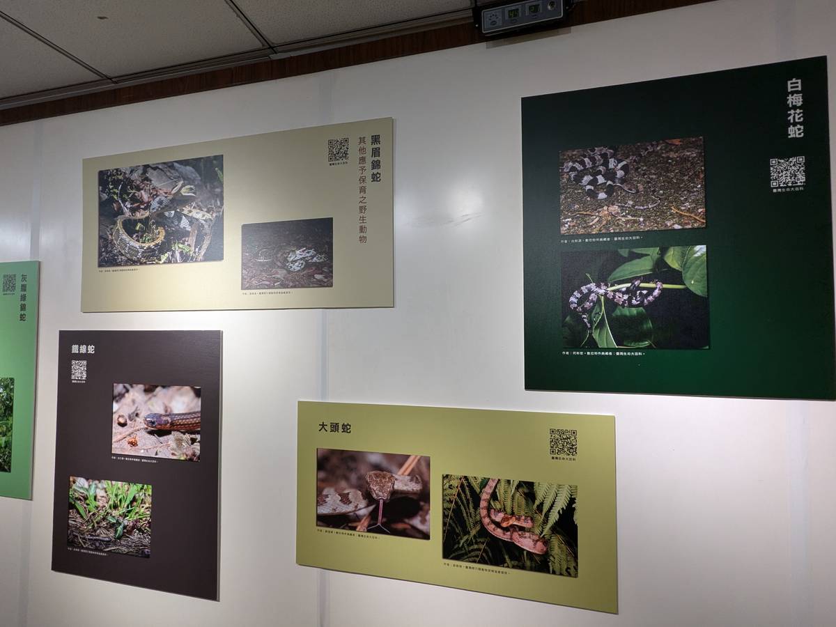 「蛤?蛇麼意思－生肖郵票特展」帶著觀眾認識台灣常見蛇種