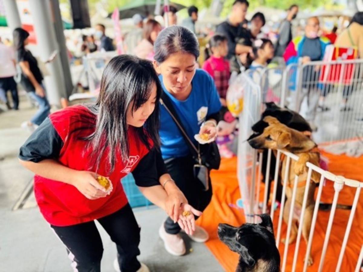 學生到流浪犬送養會分享自製點心