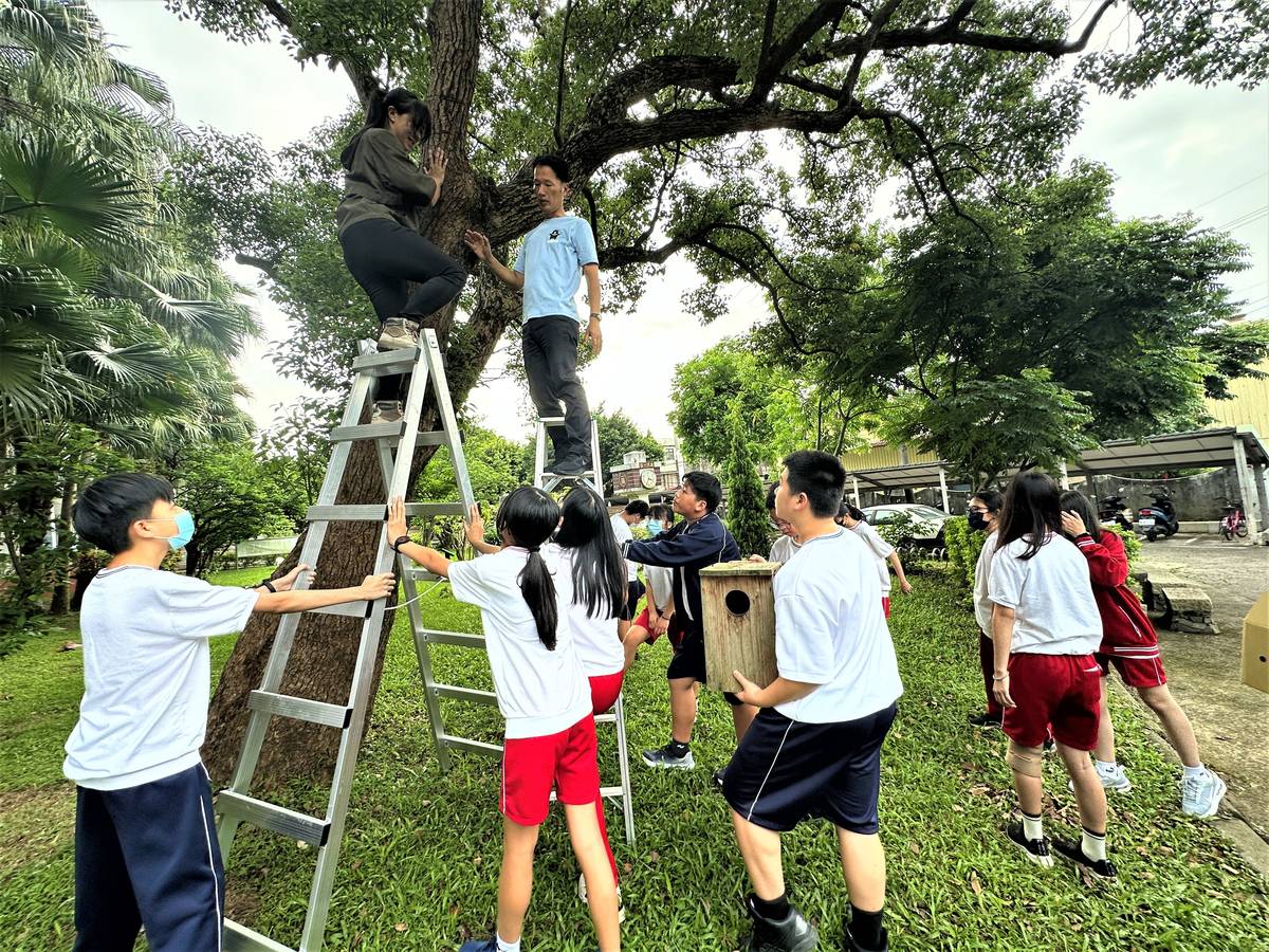 八里國中師生為領角鴞架設巢箱營造校園棲地