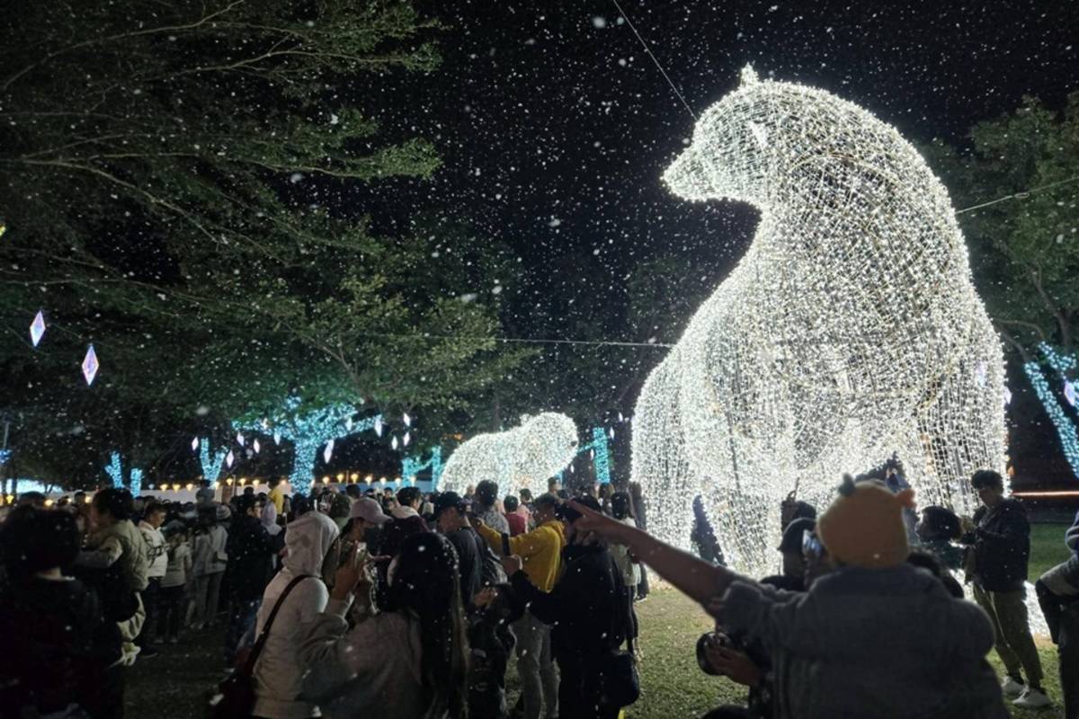 2024鐵花燈之祭「耶誕雪花秀」限時回歸，搭配北極熊、企鵝等造型燈飾，營造極地冬夜氛圍。