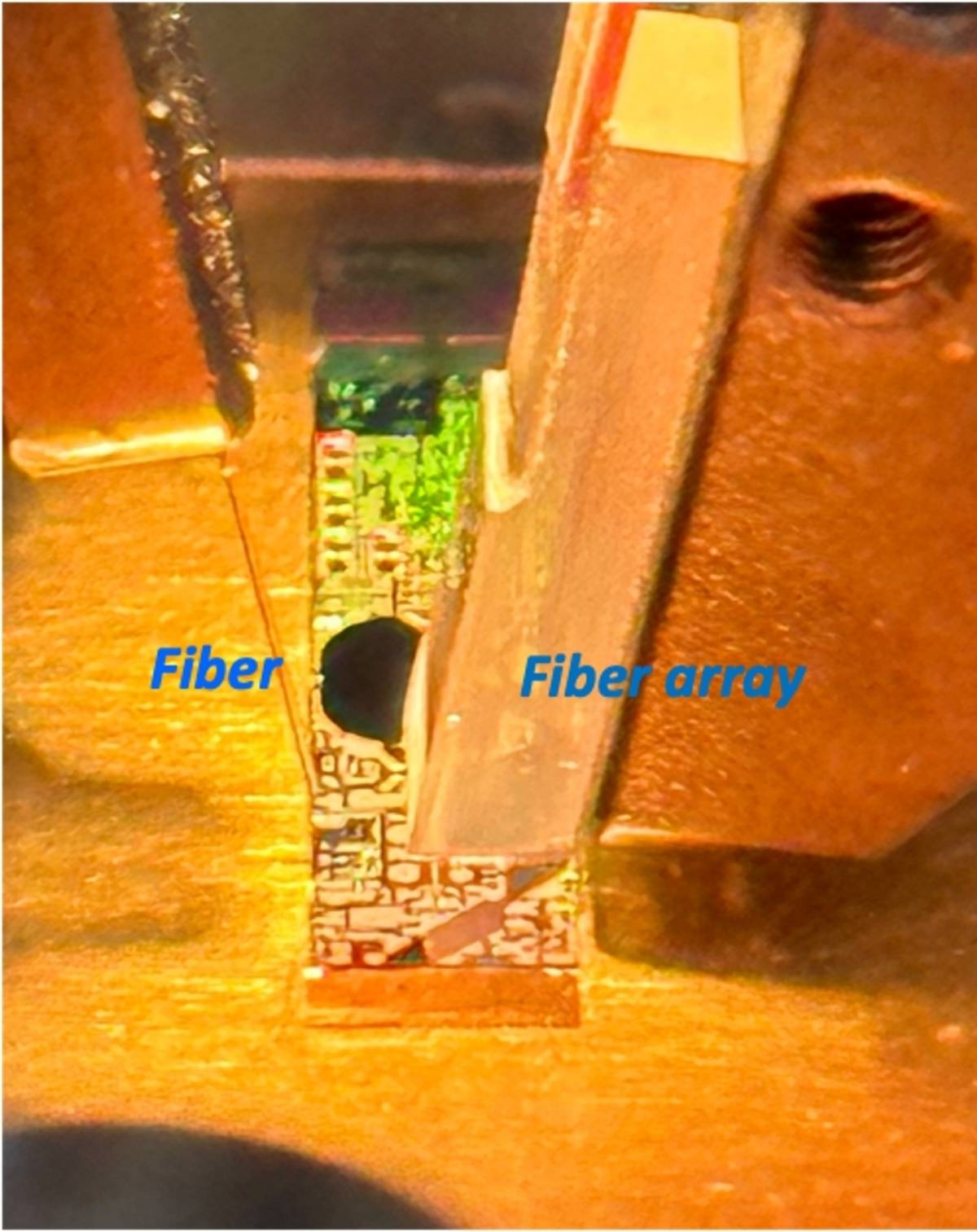 在量測系統中，光纖(Optical Fiber)負責入光，光信號進入後導入矽光子光學同調斷層掃描晶片，隨後傳送至光纖陣列(Optical Fiber Array)進行影像分析