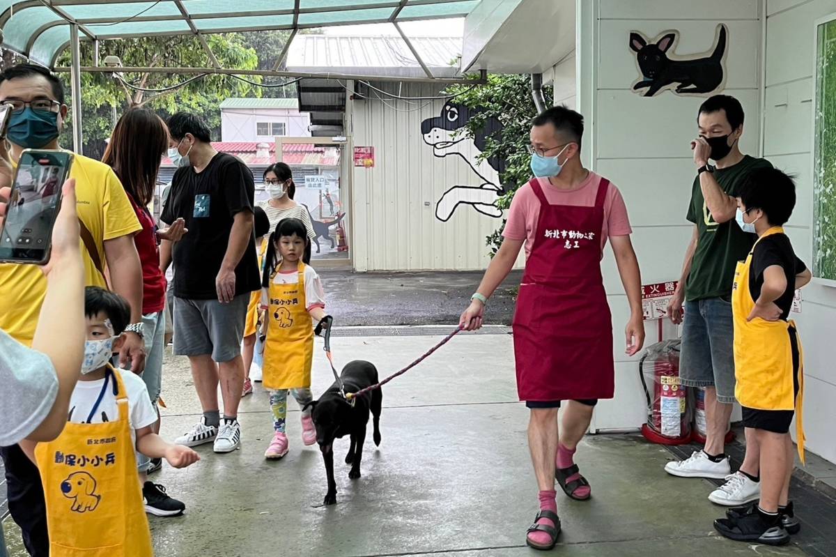 孩子們排隊學習使用牽繩牽著園區毛寶貝體驗散步